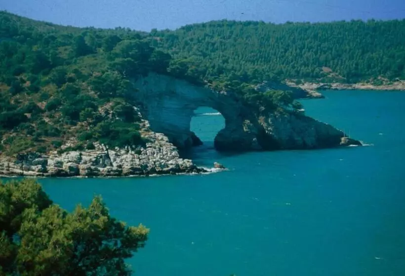 Отель Relais Parallelo 41