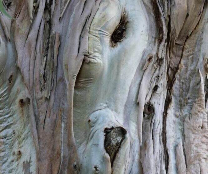 فندق Santo Stefano