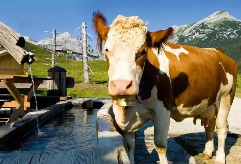 بنسيون Fischerwirt Natur Waldspa