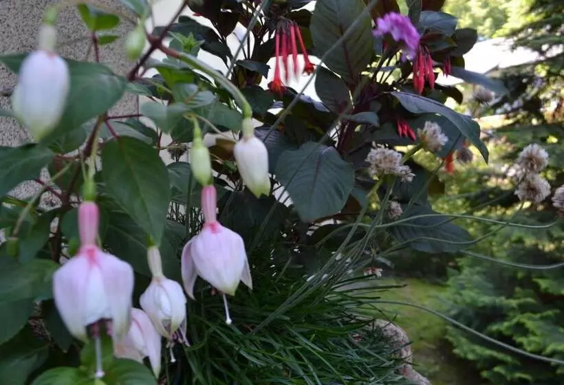 ペンション Gästehaus Pfisterer