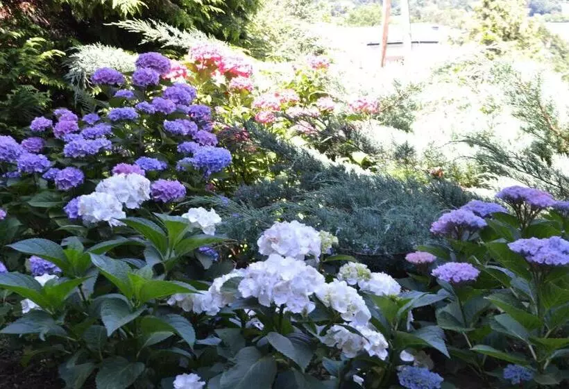 ペンション Gästehaus Pfisterer