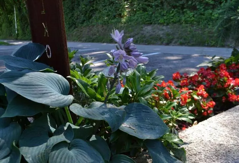 ペンション Gästehaus Pfisterer