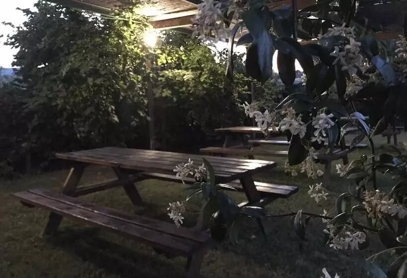 B&b Il Pettirosso Di Siena