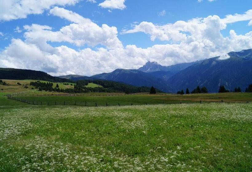 Отель Alpenrose