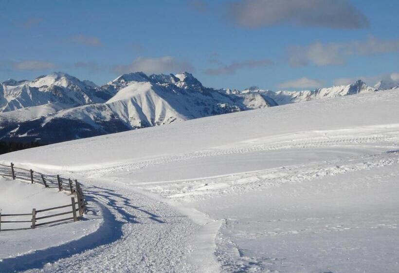 Отель Alpenrose