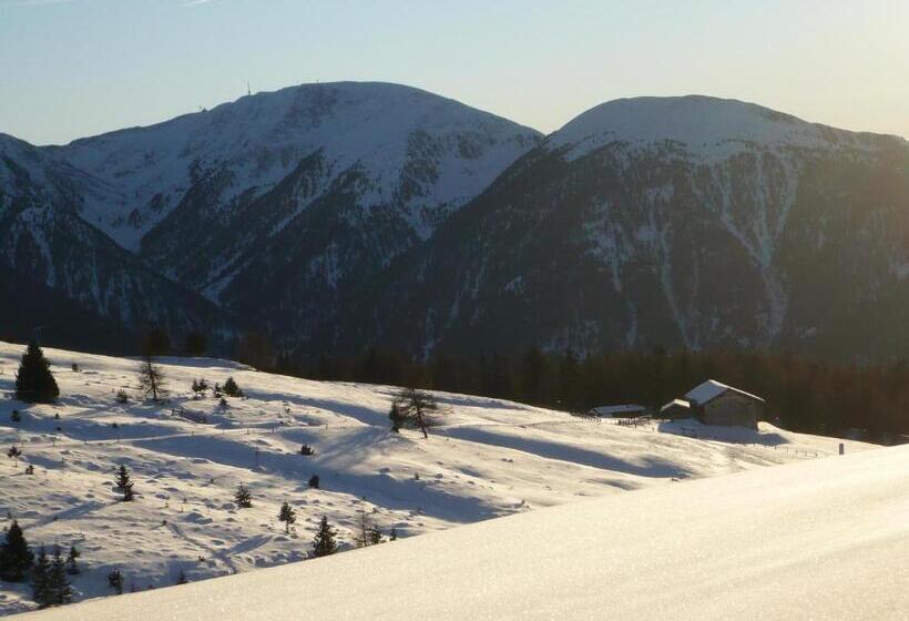 Отель Alpenrose