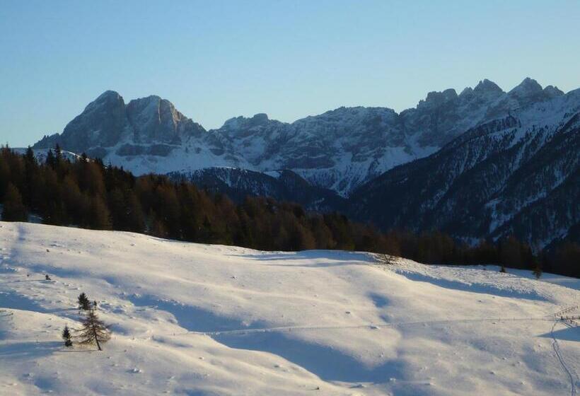 Отель Alpenrose