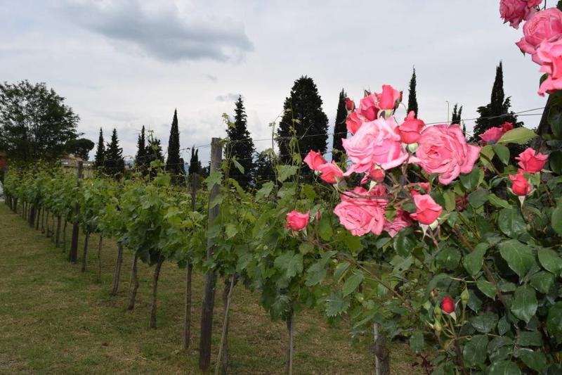 Hotel Borgo San Giusto