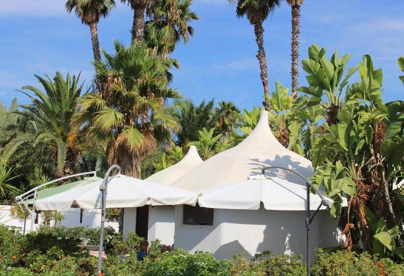 Otel Cuore Di Palme