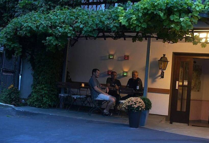 Elektro Hotel Rosenhaus Gmbh