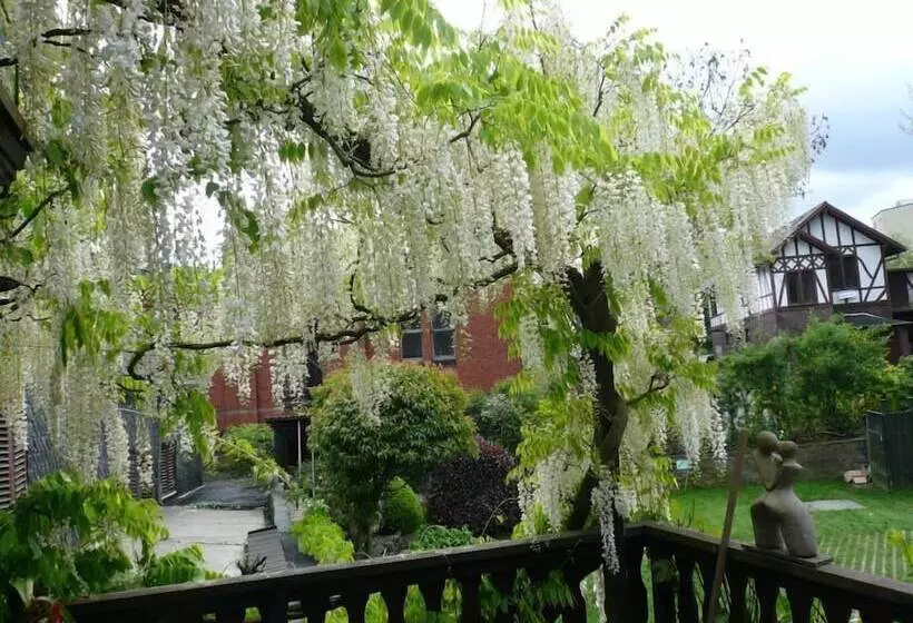 Elektro Hotel Rosenhaus Gmbh