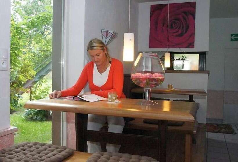 Elektro Hotel Rosenhaus Gmbh