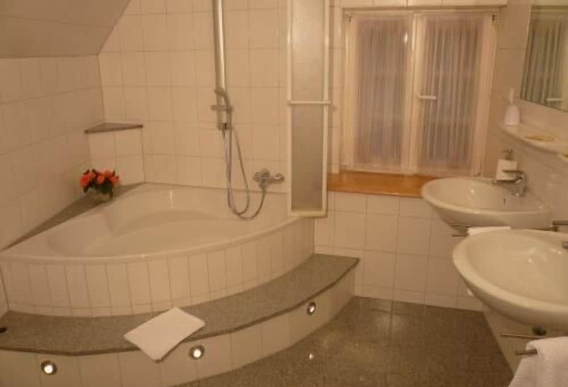 Elektro Hotel Rosenhaus Gmbh