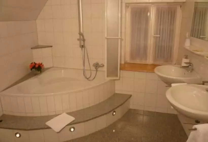 Elektro Hotel Rosenhaus Gmbh