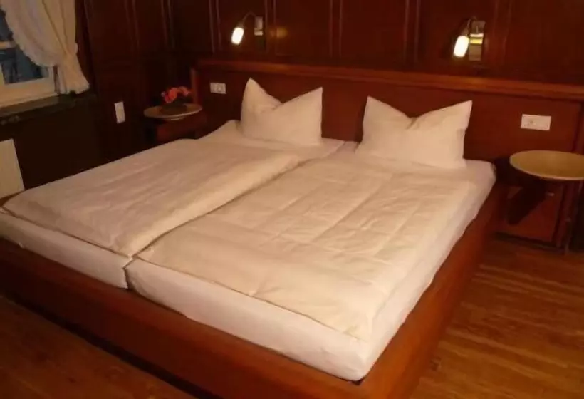 Elektro Hotel Rosenhaus Gmbh