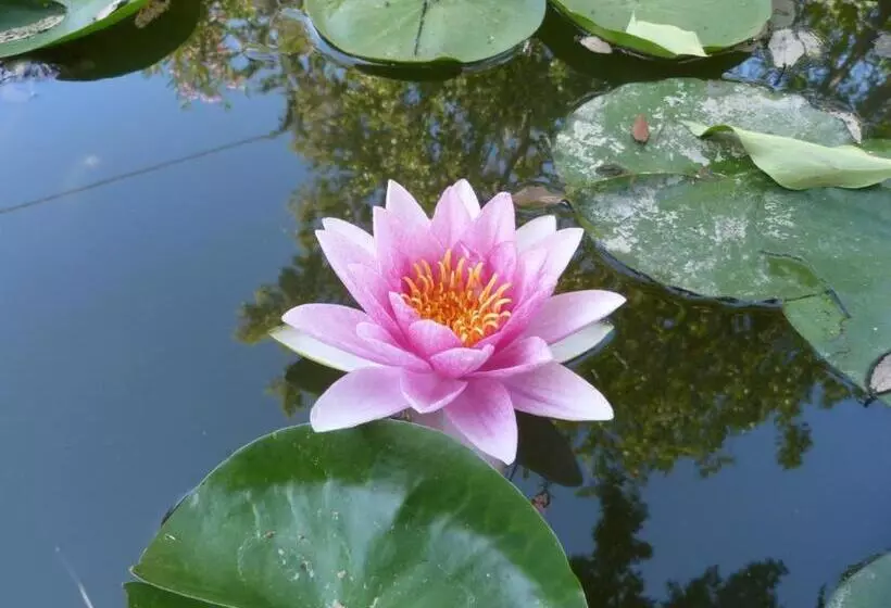 ホテル Mediterraneo