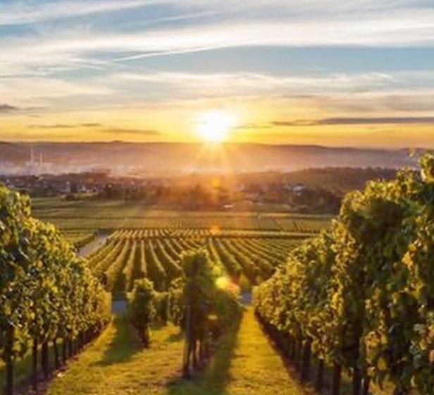 בית מלון כפרי Milano Pool & Garden