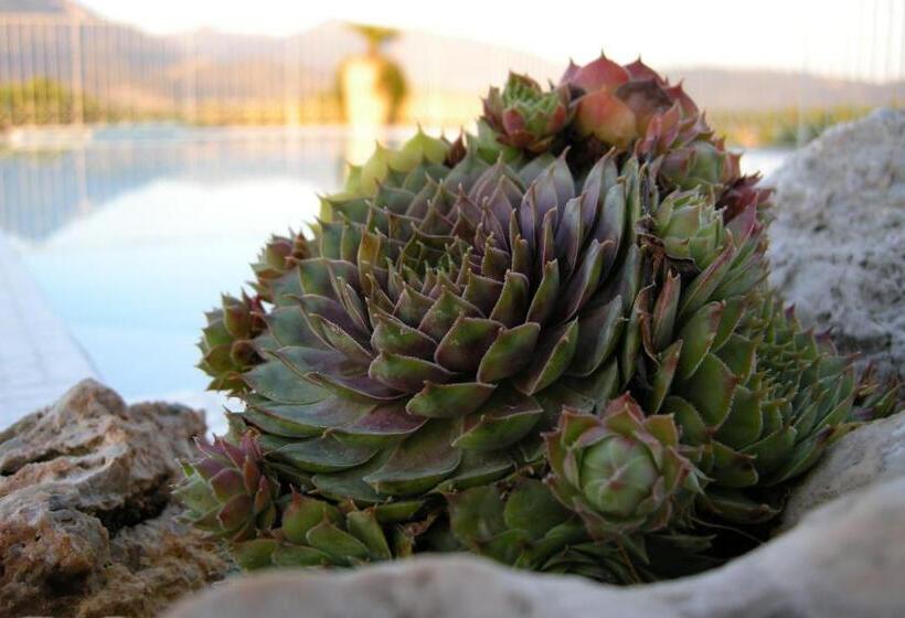 호텔 Verdeluna Apart