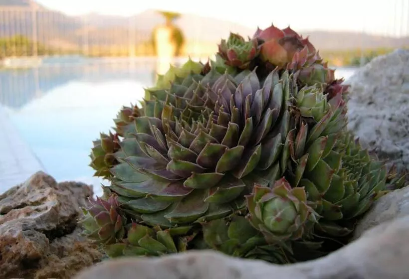 Отель Verdeluna Apart