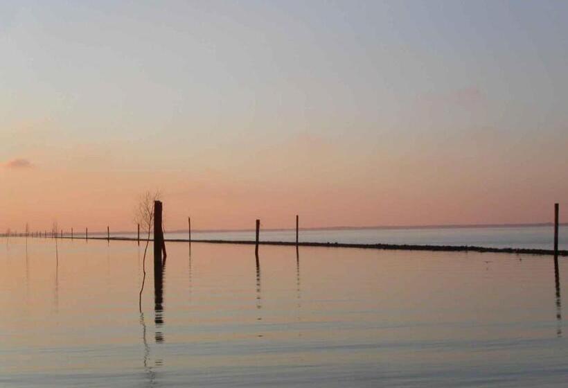Wohlfühlhotel Hörn Van Diek Garni Mit Schwimmbad