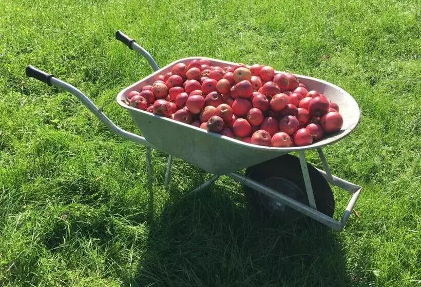Alpenhof Landhotel Restaurant
