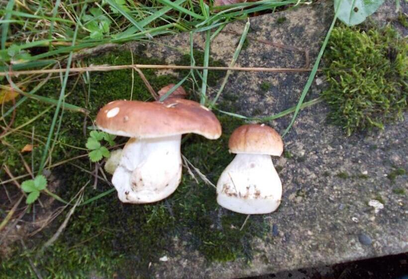 Berghotel Glockenberg