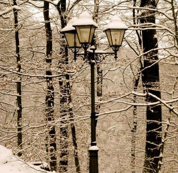 Berghotel Wintersberg