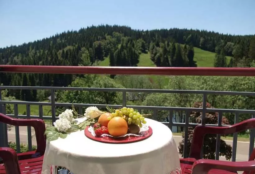 Das Waldhotel Genuss & Wellness Am Notschreipass