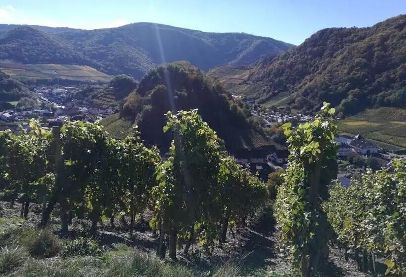 ホテル Am Rossberg