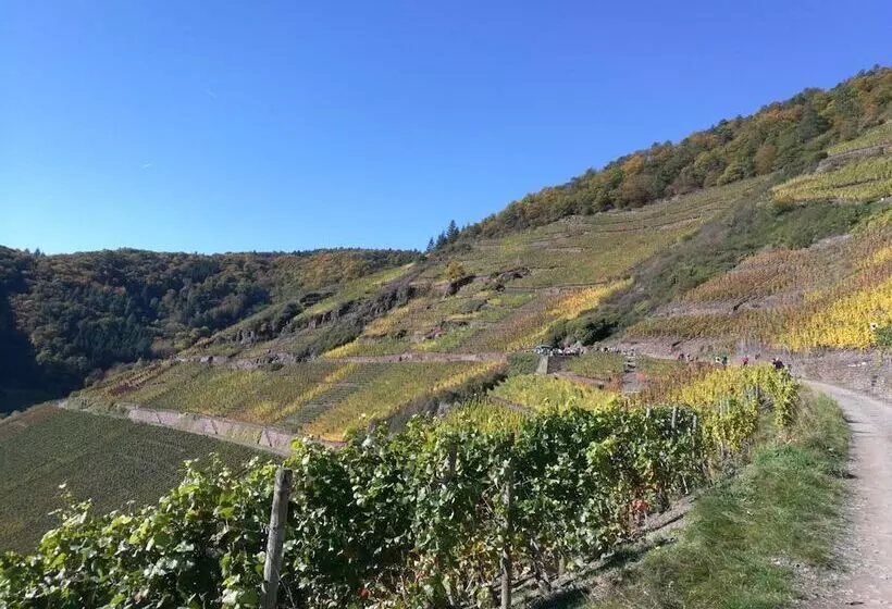 ホテル Am Rossberg