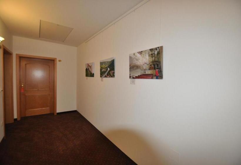 Отель Elisabeth