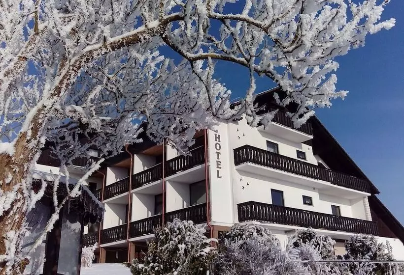 Garni Hotel & Ferienwohnungen Seeschlößchen