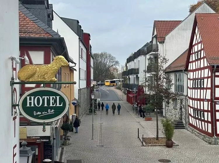 בית מלון כפרי Goldenes Lamm