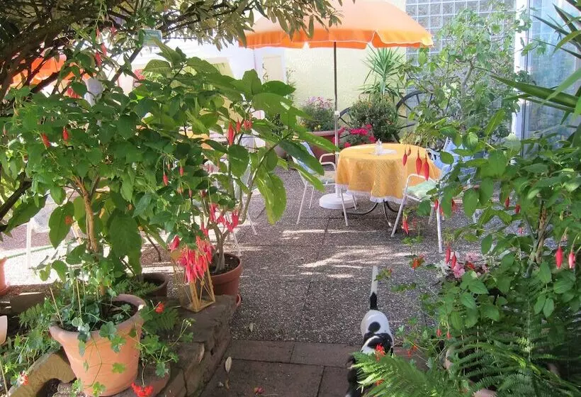 酒店 Haus Am Kurpark