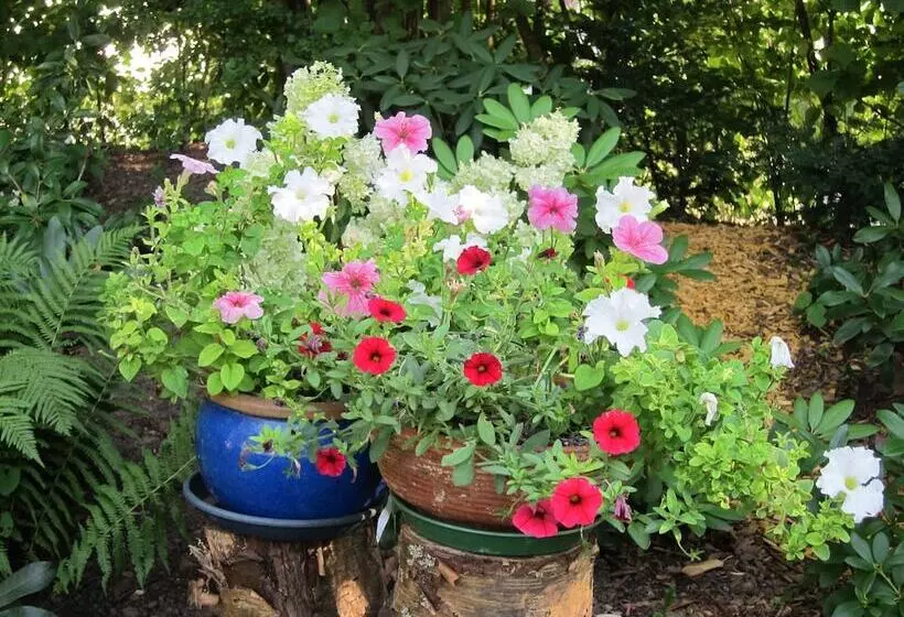 酒店 Haus Am Kurpark