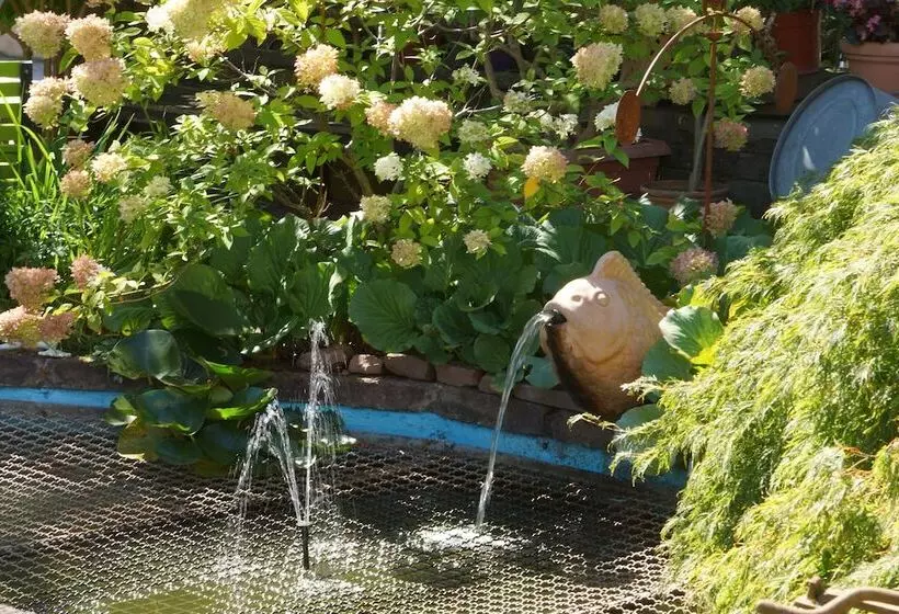 酒店 Haus Am Kurpark