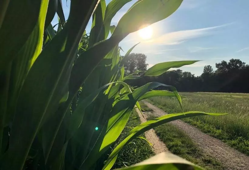 فندق Haus Am Rieth