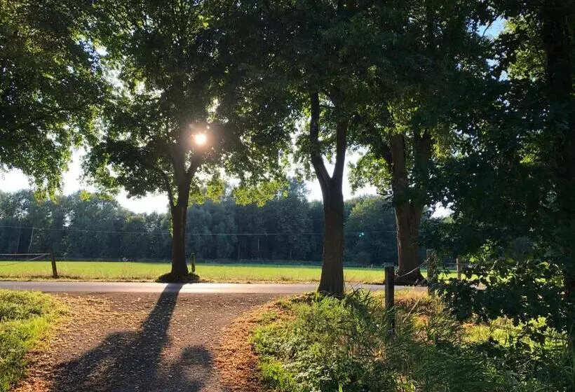 فندق Haus Am Rieth