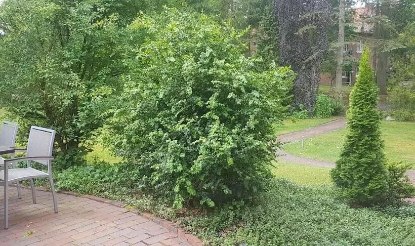 酒店 Haus Hubertus