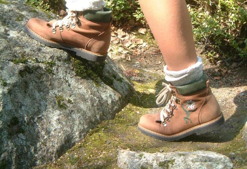 Hotel Pension Sonneneck