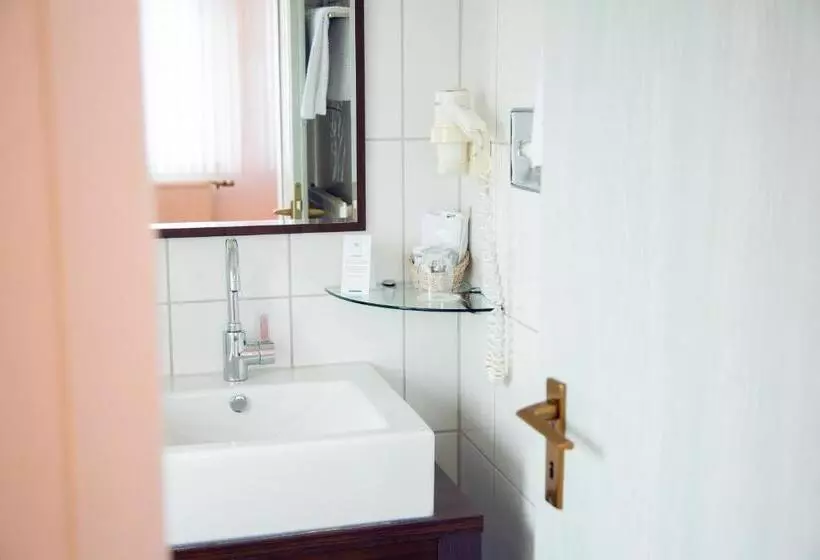 酒店 Restaurant Zum Schwanen