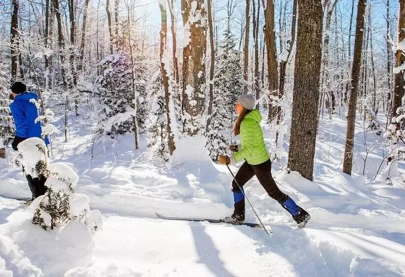 Hotel Waldsee Golfresort