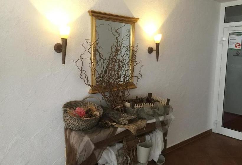 酒店 Wittgensteiner Hof