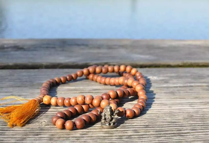 Naturkost Hotel Harz