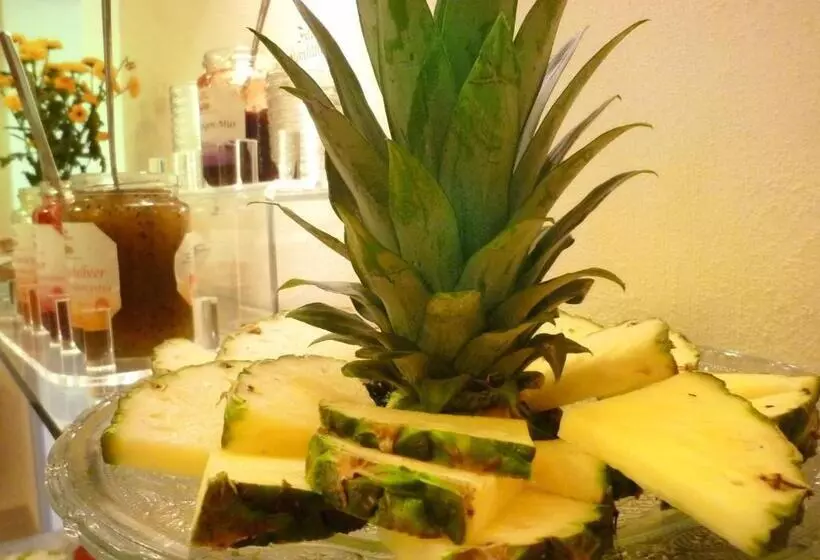 膳宿费 Gästehaus Deidesheim