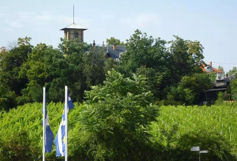 膳宿费 Gästehaus Deidesheim