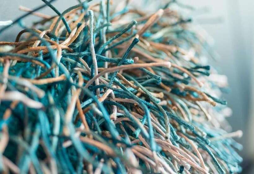 Rheinterrassen Hotel Café Restaurant