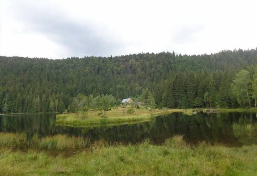 Almhotel Pinter Superior