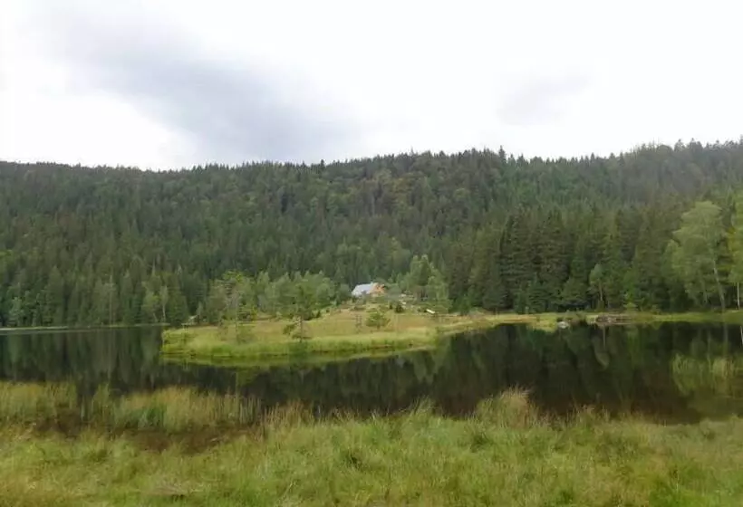 Almhotel Pinter Superior