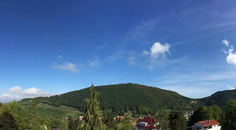 בית מלון כפרי Am Park